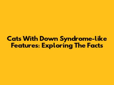 Cats With Down Syndrome-like Features: Exploring The Facts