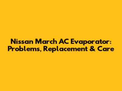 Nissan March AC Evaporator: Problems, Replacement & Care