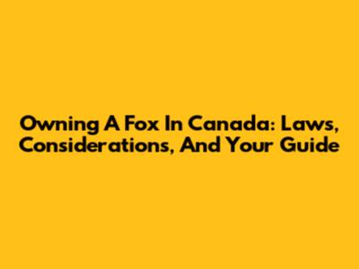 Owning A Fox In Canada: Laws, Considerations, And Your Guide
